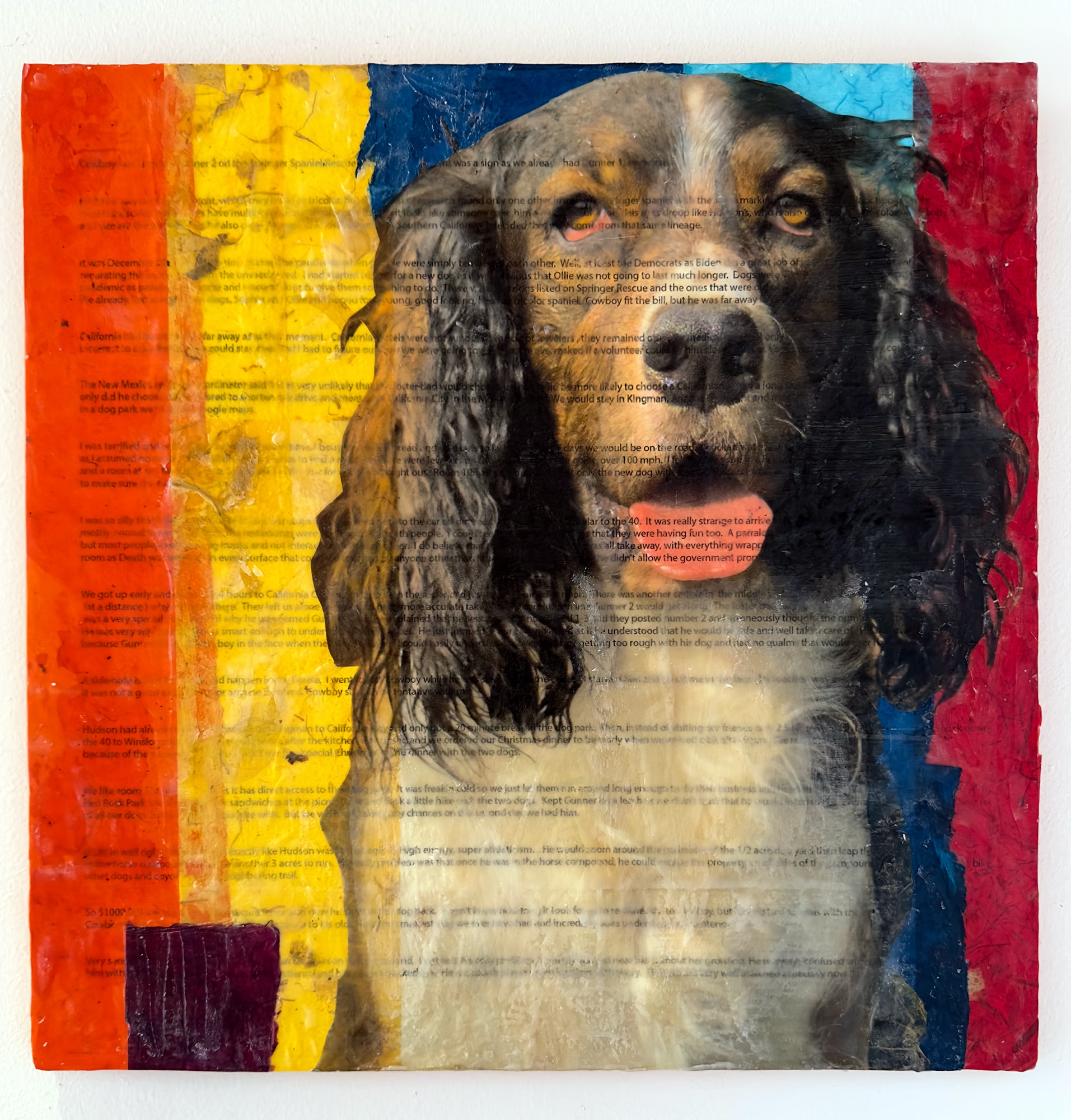 Dog Stories series — dog portrait photography by Helen K. Garber